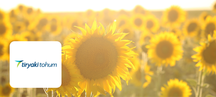 Tiryaki Tohum
